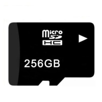 Карта памяти 256 GB Micro SD (Class 10)